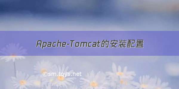 Apache-Tomcat的安装配置