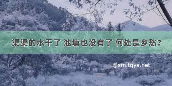 渠渠的水干了 池塘也没有了 何处是乡愁？