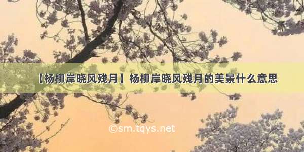 【杨柳岸晓风残月】杨柳岸晓风残月的美景什么意思