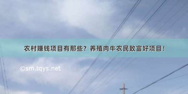 农村赚钱项目有那些？养殖肉牛农民致富好项目！