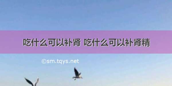 吃什么可以补肾 吃什么可以补肾精