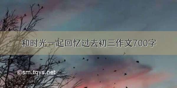 和时光一起回忆过去初三作文700字