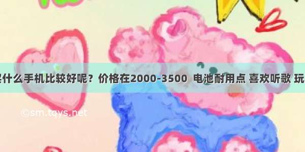 推荐下买什么手机比较好呢？价格在2000-3500  电池耐用点 喜欢听歌 玩王者荣耀