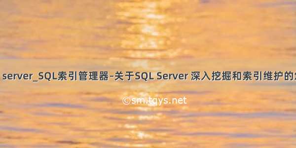 索引 sql server_SQL索引管理器–关于SQL Server 深入挖掘和索引维护的悠久历史