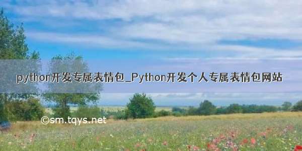 python开发专属表情包_Python开发个人专属表情包网站