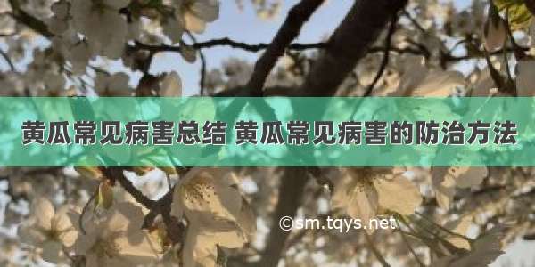 黄瓜常见病害总结 黄瓜常见病害的防治方法