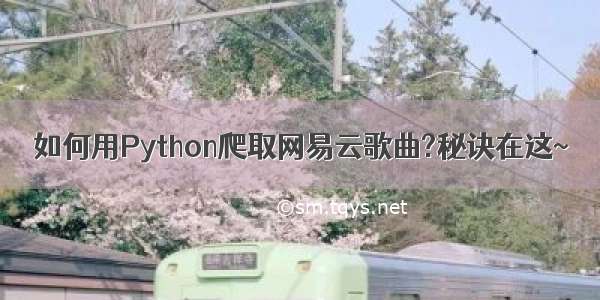 如何用Python爬取网易云歌曲?秘诀在这~