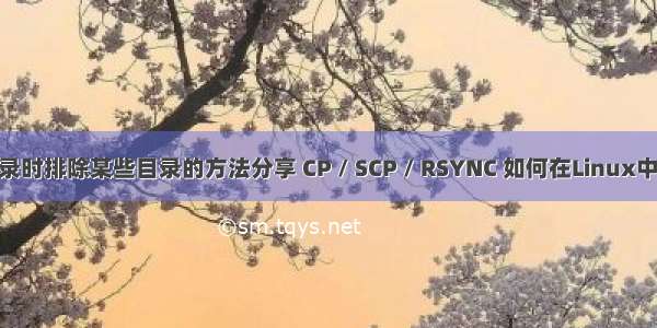 linux下cp复制目录时排除某些目录的方法分享 CP / SCP / RSYNC 如何在Linux中排除特定目录？...