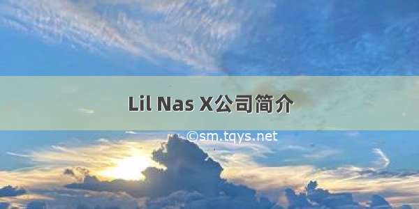 Lil Nas X公司简介