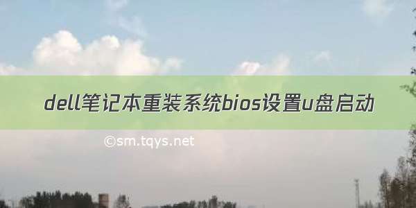 dell笔记本重装系统bios设置u盘启动