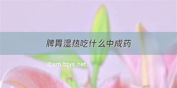 脾胃湿热吃什么中成药