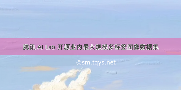 腾讯 AI Lab 开源业内最大规模多标签图像数据集