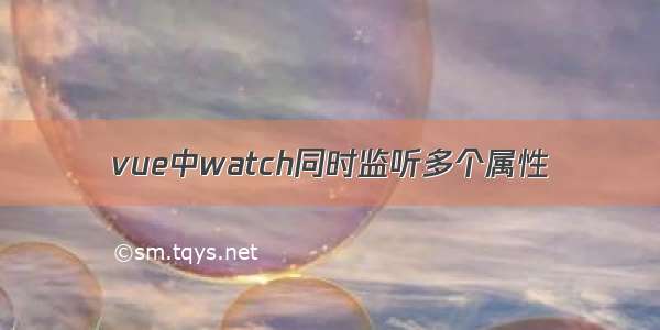 vue中watch同时监听多个属性