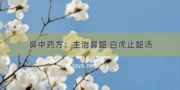 鼻中药方：主治鼻衄 白虎止衄汤