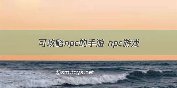 可攻略npc的手游 npc游戏