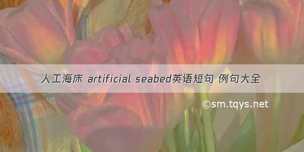 人工海床 artificial seabed英语短句 例句大全