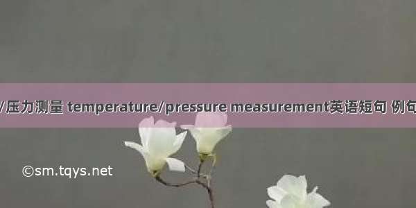 温度/压力测量 temperature/pressure measurement英语短句 例句大全