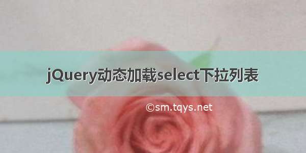 jQuery动态加载select下拉列表