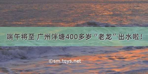 端午将至 广州泮塘400多岁“老龙”出水啦！