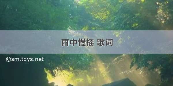 雨中慢摇 歌词