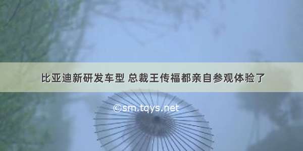 比亚迪新研发车型 总裁王传福都亲自参观体验了