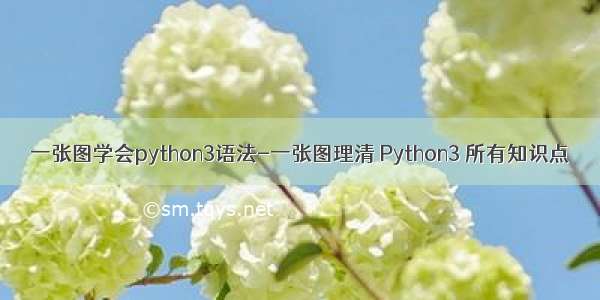 一张图学会python3语法-一张图理清 Python3 所有知识点