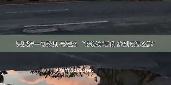 只记得一句歌词 寻歌名 “我说亲爱的 你到底怎么样”