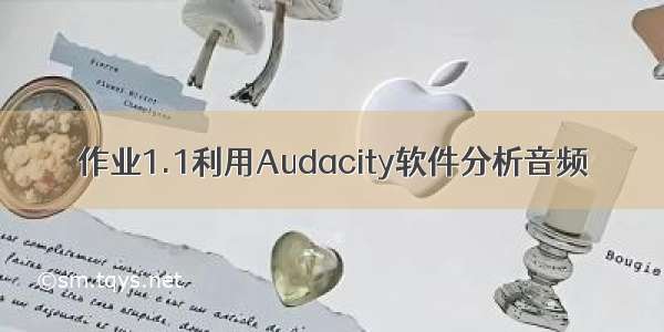 作业1.1利用Audacity软件分析音频