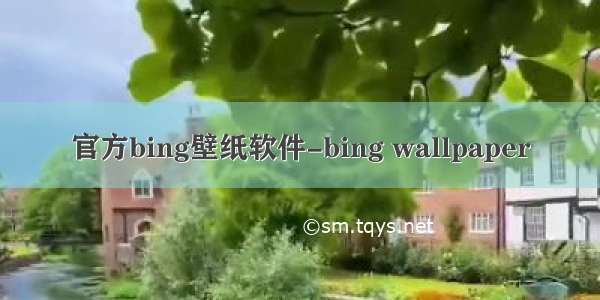官方bing壁纸软件-bing wallpaper
