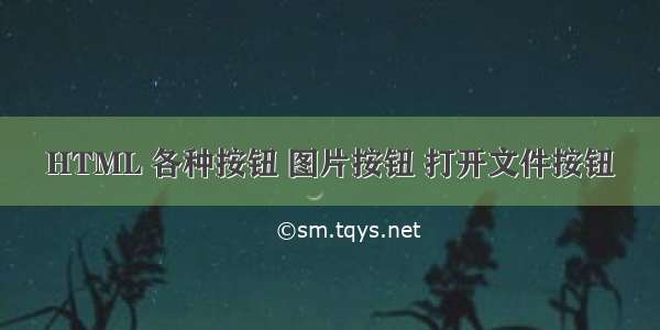 HTML 各种按钮 图片按钮 打开文件按钮