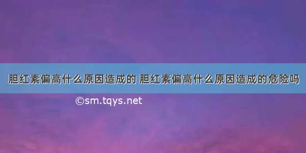 胆红素偏高什么原因造成的 胆红素偏高什么原因造成的危险吗