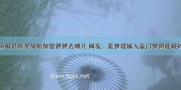 何猷君携龙凤胎加盟爸爸去哪儿 网友：奚梦瑶嫁入豪门梦彻底破碎