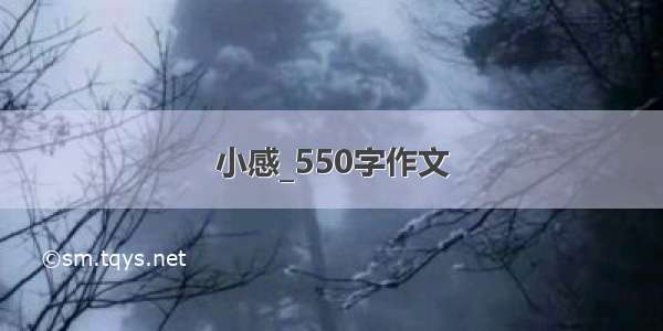 小感_550字作文