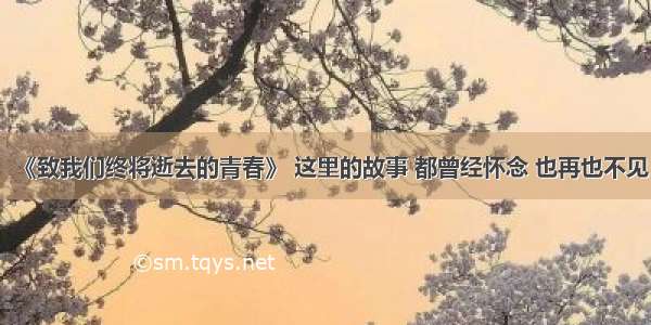 《致我们终将逝去的青春》 这里的故事 都曾经怀念 也再也不见