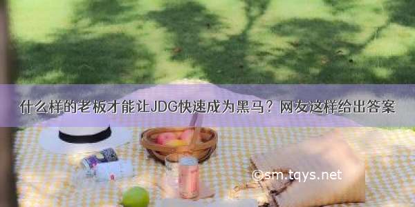 什么样的老板才能让JDG快速成为黑马？网友这样给出答案