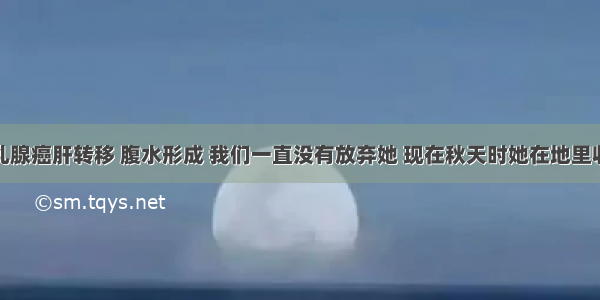 她乳腺癌肝转移 腹水形成 我们一直没有放弃她 现在秋天时她在地里收麦