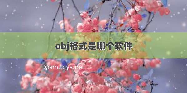 obj格式是哪个软件