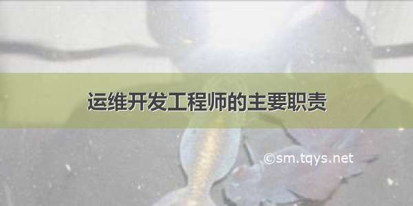 运维开发工程师的主要职责