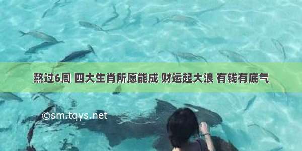 熬过6周 四大生肖所愿能成 财运起大浪 有钱有底气