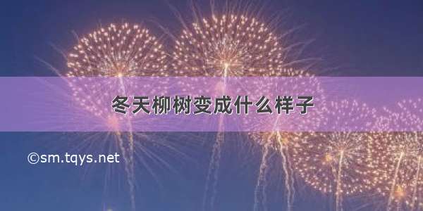 冬天柳树变成什么样子