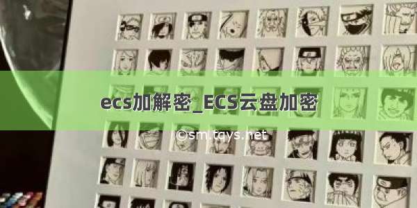 ecs加解密_ECS云盘加密