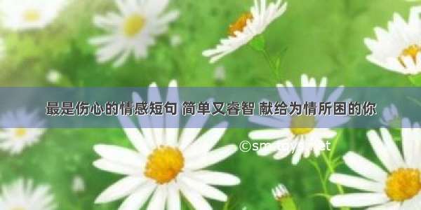 最是伤心的情感短句 简单又睿智 献给为情所困的你