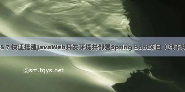 CentOS 7 快速搭建JavaWeb开发环境并部署Spring boot项目（纯干货 详细）