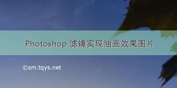 Photoshop 滤镜实现油画效果图片