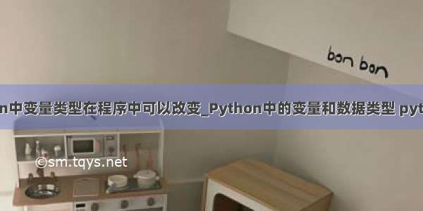 python中变量类型在程序中可以改变_Python中的变量和数据类型 python 及