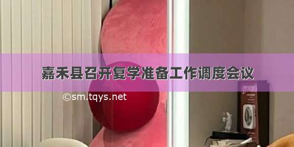 嘉禾县召开复学准备工作调度会议