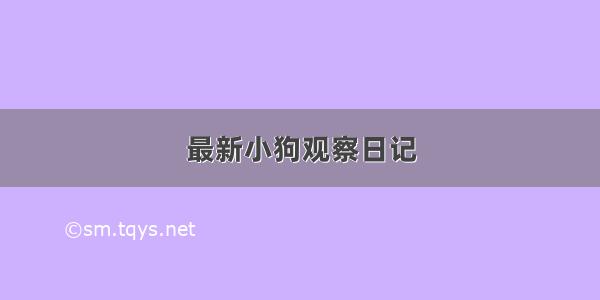 最新小狗观察日记