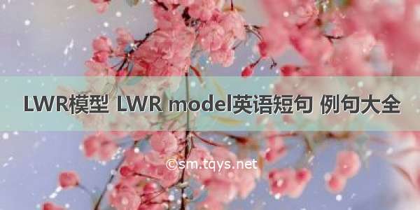 LWR模型 LWR model英语短句 例句大全
