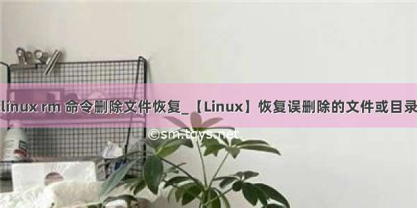 linux rm 命令删除文件恢复_【Linux】恢复误删除的文件或目录