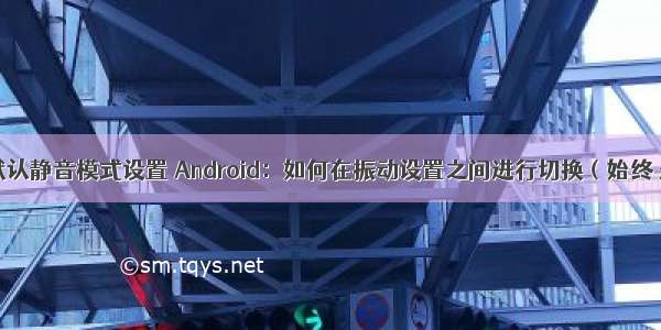 android 默认静音模式设置 Android：如何在振动设置之间进行切换（始终 永不 仅在